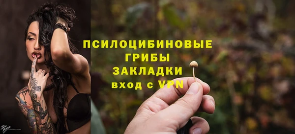 амф Пересвет