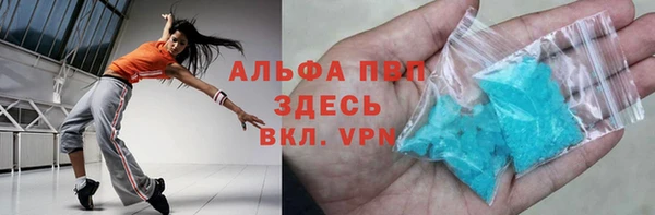 индика Пестово