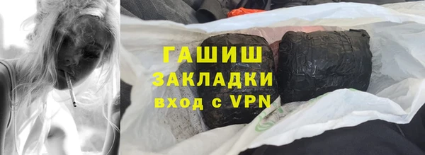 индика Пестово