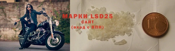 прущие грибы Абдулино